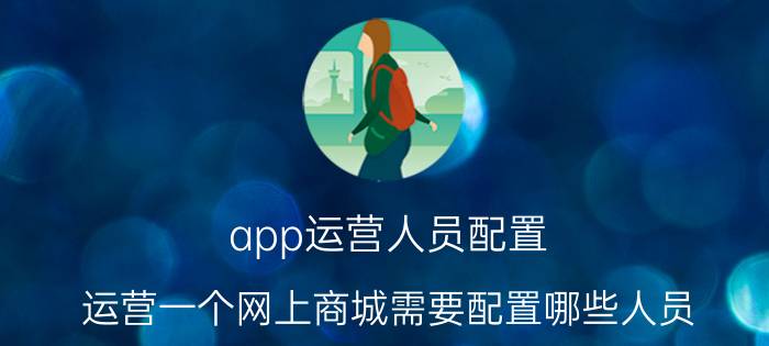 app运营人员配置 运营一个网上商城需要配置哪些人员？